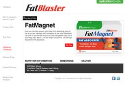 Fat Blaster website