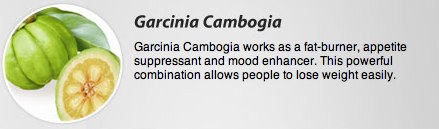 Garcinia Cambogia explained