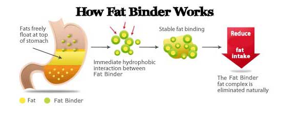 How fat binders work